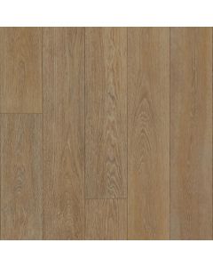 Latte - Heterogeneous Sheet 8" Sample