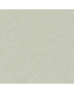 Oatmeal 12x12 Expressive Ideas VBT Sample