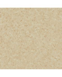 Pale Terracotta 12x12 Expressive Ideas VBT Sample