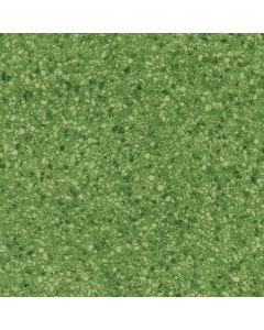 Evergreen 12x12 Expressive Ideas VBT Sample