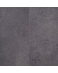 Connectivity Timeless Shadow Large Sample