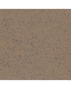 Stonetex Cocoa Brown 12x12