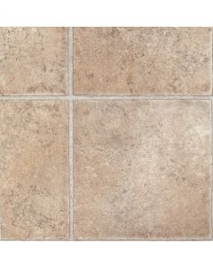 Progressions Bridgeton Chamois 14x14
