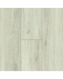 Parterre FlourishSag Harbor7.87" x 60" 