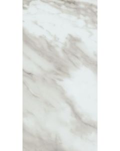 Alterna Rossini Marble Gray Mist  6x12