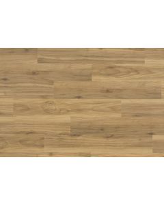 Parterre Ingrained English Elm Medium Sample