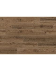 Parterre Ingrained Scarlet Oak Large Sample