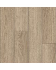 Parterre Existence Authentic Medium Sample
