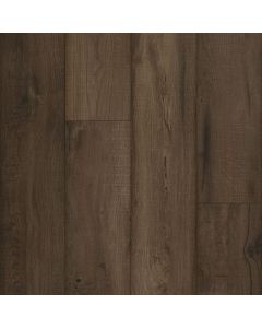 Parterre Existence Dark Roast Medium Sample