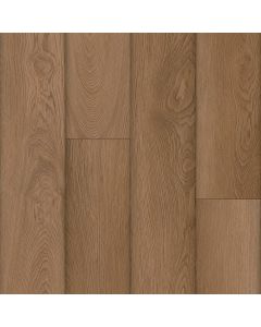 Parterre Existence Lincoln Medium Sample