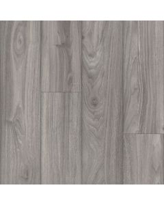 Parterre Existence Misty Medium Sample