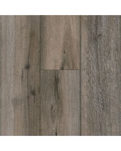 Parterre Individuality Glacier Large Sample
