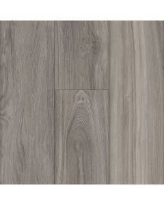 Parterre Individuality Hatteras Large Sample
