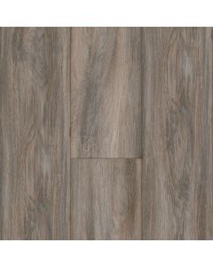 Parterre Individuality Harbor Large Sample