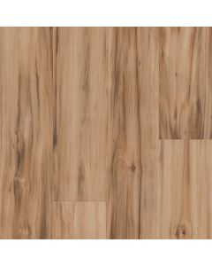 Biome TellusSolstice 6x12