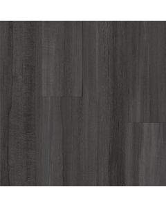 Biome SelvaUnderstory  6x12