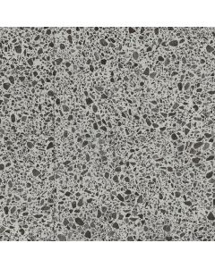 Terra PalazzoScuro 9x12